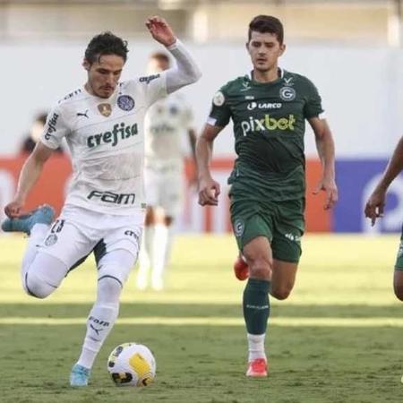 Goiás é um dos clubes que decidiu usar novas placas - (Foto: Divulgação/Palmeiras)