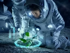 Plantas podem crescer em “fazendas” na Lua e em Marte
