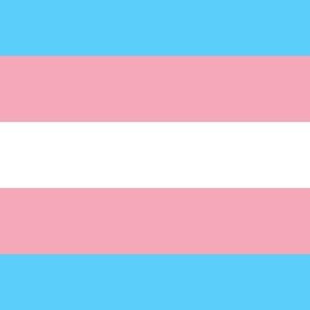Bandeira do Orgulho Trans. Dia 29 de janeiro, ontem, foi o Dia da Visibilidade Trans. - Wikimedia Commons