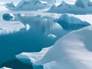 Efeitos do derretimento da Antártica serão catastróficos, alertam cientistas