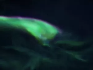 Tempestade solar "perfeita" pode gerar espetáculo de auroras esta noite