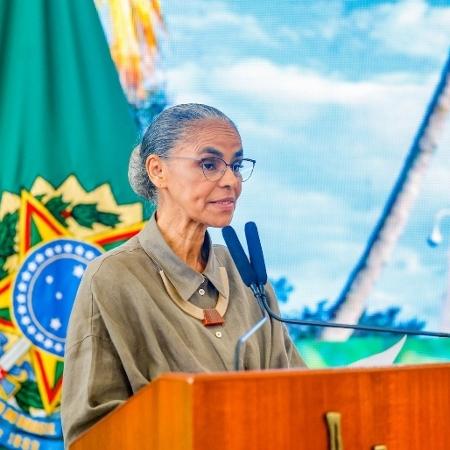 Marina Silva, a ministra do Meio Ambiente Marina Silva, a ministra do Meio Ambiente