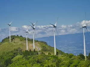 ‘Greenhushing’: entenda por que empresas estão deixando de falar sobre ações climáticas, mas não de adotá-las