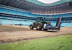 Diretor da Arena do Grêmio detalha novo gramado: "Melhor..." - Reprodução/X