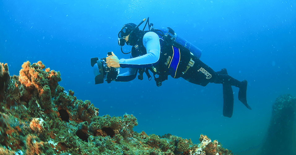 Athila Bertoncini / Projeto Meros do Brasil 