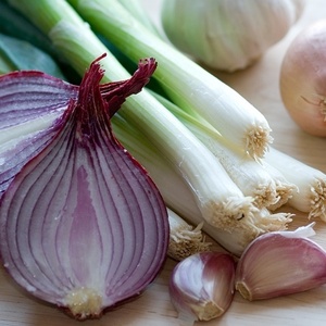 Shutterstock Shutterstock