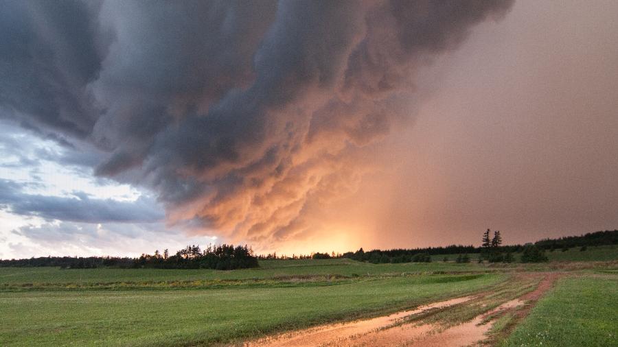 Seguro rural é a política pública de apoio para produtores se protegerem de intempéries climáticas Seguro rural é a política pública de apoio para produtores se protegerem de intempéries climáticas