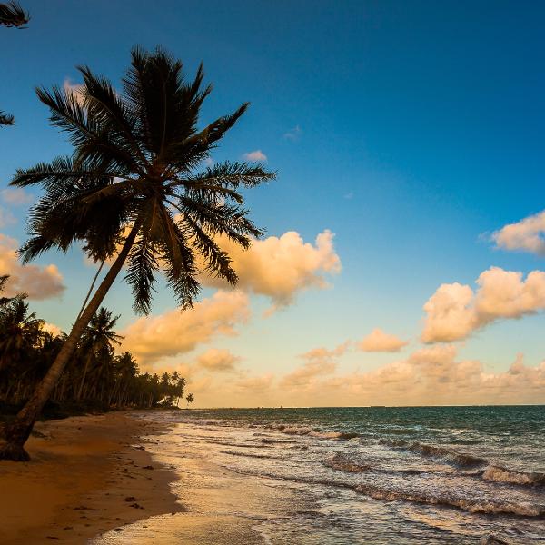 Wesley Menegari/ Tend Criativa/ Divulgação