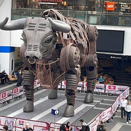 Ozzy The Bull em Birmingham Ozzy The Bull em Birmingham