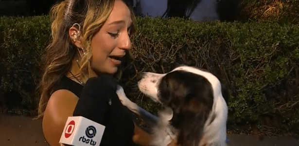 Emoção no Domingão: Samira reencontra seu cachorro Lindolfo ao vivo