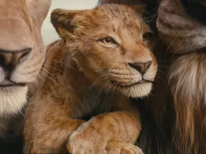 'Mufasa': elenco diz que dublar live-action foi como atuar em carne e osso