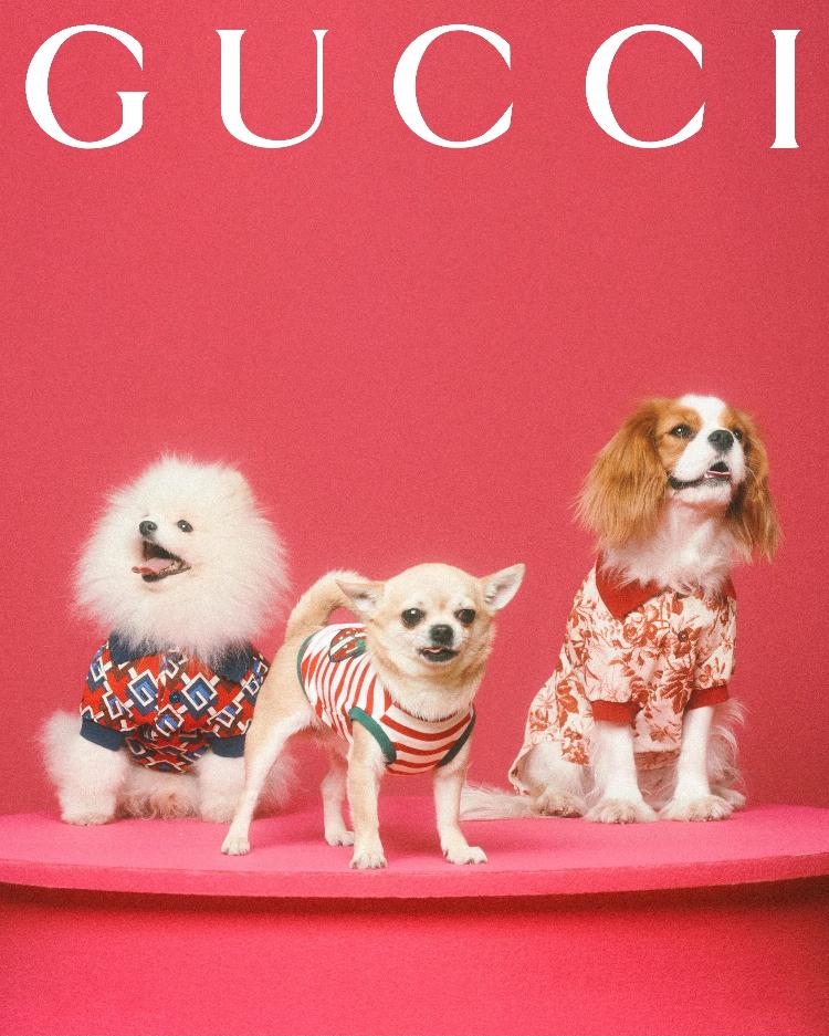 Gucci