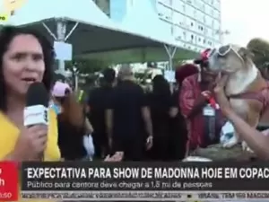 Cachorro 'fã da Madonna' morde repórter da TV Globo ao vivo: 'Me mordeu'