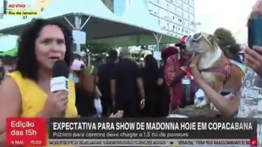 Fã canino da Madonna não gostou muito de aparecer ao vivo e mordeu repórter da TV Globo  - Reprodução/GloboNews