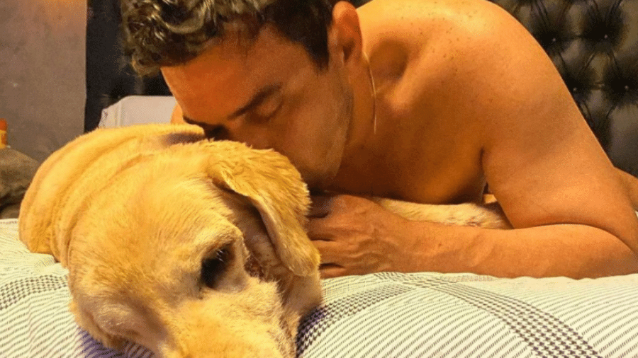 André Marques se despediu da cachorra, Cuca - Reprodução / Instagram