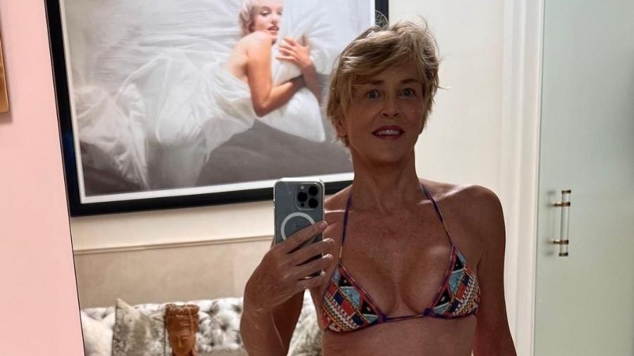 Sharon Stone compartilhou clique em que posa de biquíni - Reprodução/Instagram