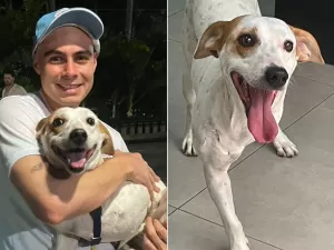 Rafa Vitti e Tata Werneck adotam cão com deficiência: 'Papai se apaixonou'