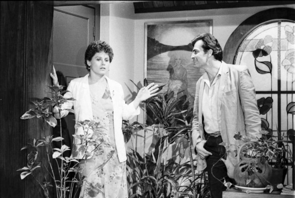 Em "Brilhante", de 1981, Gilberto Braga contou com a colaboração de Leonor Bassères e Euclydes Marinho. O comércio de joias e de pedras preciosas e o mistério sobre uma jazida de esmeraldas no Pantanal eram o fio condutor da história. - Divulgação