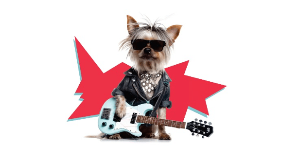 Dogs of Rock transforma Moema em um festival pet-friendly