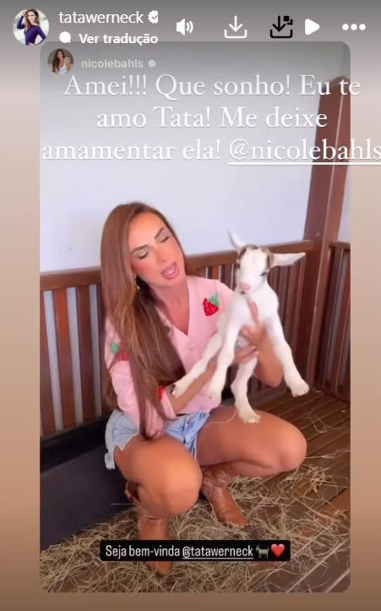 Nicole Bahls batizou a mini cabra como Tata Werneck