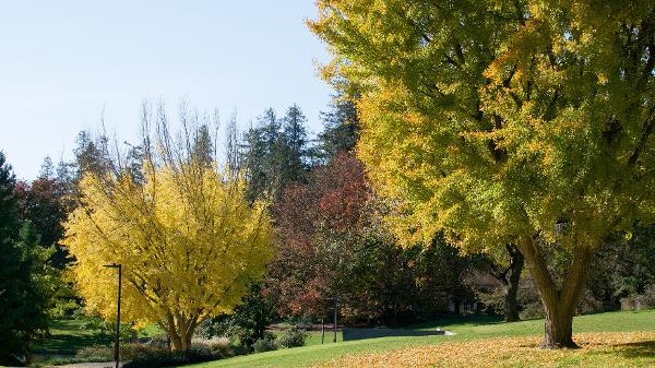 Getty Images/iStockphoto - Getty Images/iStockphoto