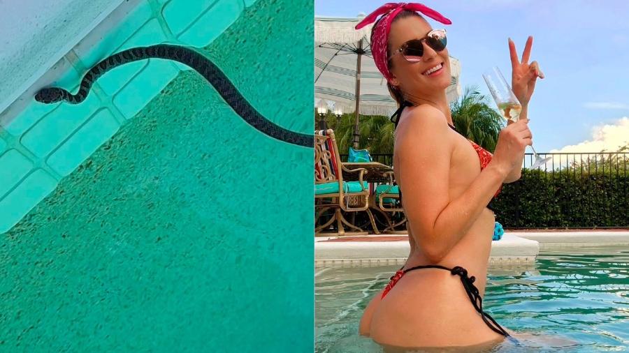 Lívia Andrade se deparou com uma cobra na piscina - Reprodução/Instagram