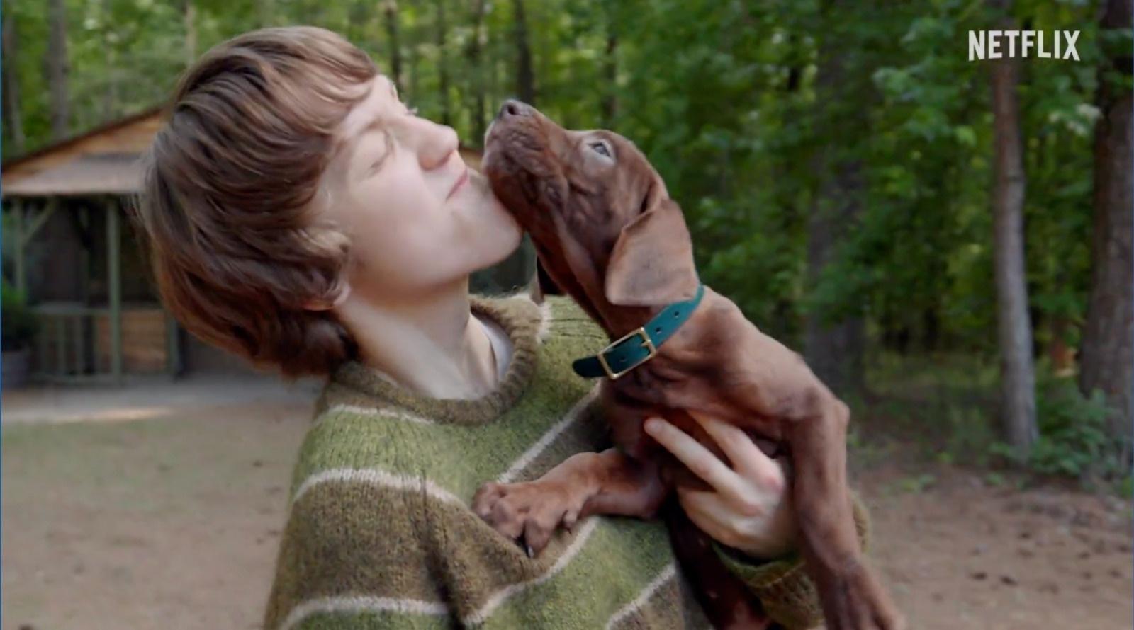 Netflix divulga imagem de novo live-action do Scooby-Doo  - undefined