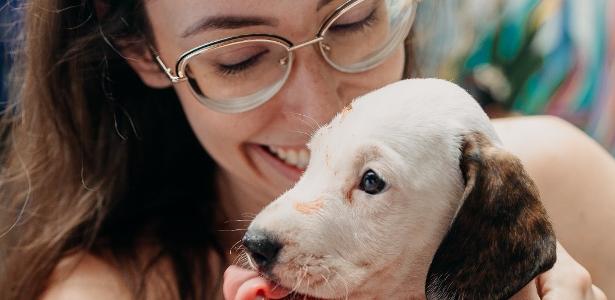Dogs & Drinks une coquetelaria, adoção pet e clima de Dia dos Namorados