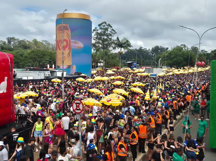 Bloco Vem Com o Gigante lota Ibirapuera