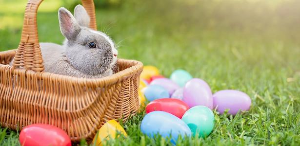 Mensagem de Páscoa para colaboradores: 45 frases para motivar