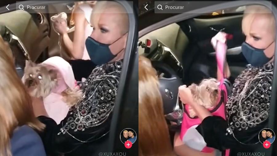 Xuxa segurava sua cachorra Doralice no colo enquanto conversava com a fã - Reprodução/ TikTok @apolodelucca2
