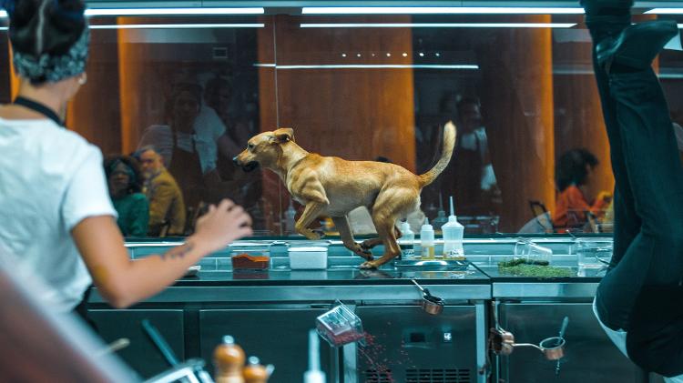 O cachorro Amendoim fez sua estreia no filme 'Caramelo' O cachorro Amendoim fez sua estreia no filme 'Caramelo'