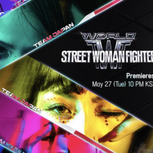 'World Of Street Woman Fighter'