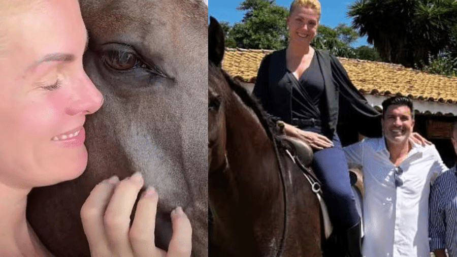 Ana Hickmann ganha cavalo puro-sangue de Edu Guedes