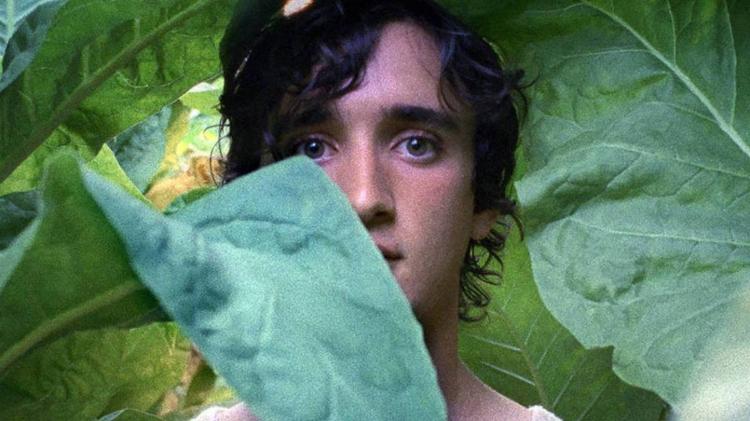 Cena de 'Lazzaro Felice' (2018) Cena de 'Lazzaro Felice' (2018)