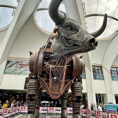 Ozzy the Bull em Birmingham Ozzy the Bull em Birmingham
