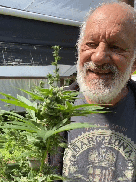 Mohammed Abdullah, antes conhecido como Ricardo Petraglia, ao lado de um de seus pés de maconha Mohammed Abdullah, antes conhecido como Ricardo Petraglia, ao lado de um de seus pés de maconha