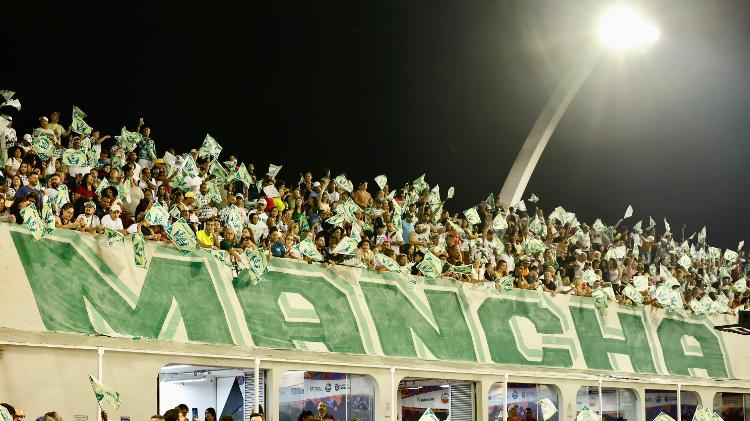 Torcida da Mancha Verde na arquibancada do Anhembi na primeira noite de carnaval no sambódromo 