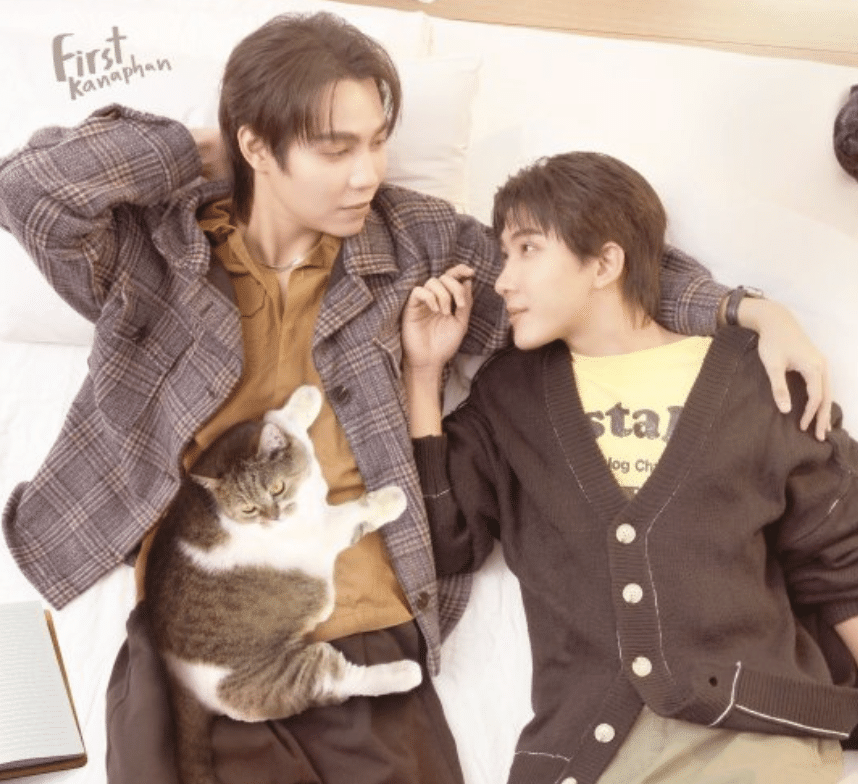 BL: Cat for Cash - undefined