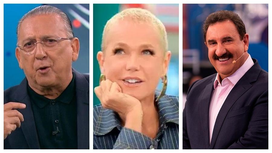 Famosos como Galvão Bueno, Xuxa e Ratinho também são grandes empresários de sucesso fora da TV - Reprodução