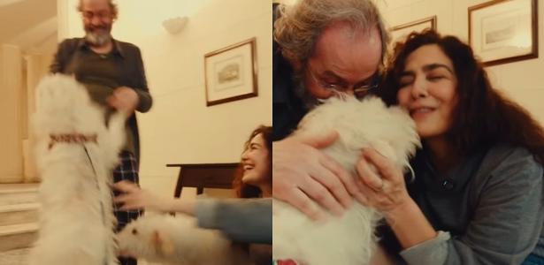 Letícia Sabatella celebra reencontro emocionante com seu cão após decisão judicial