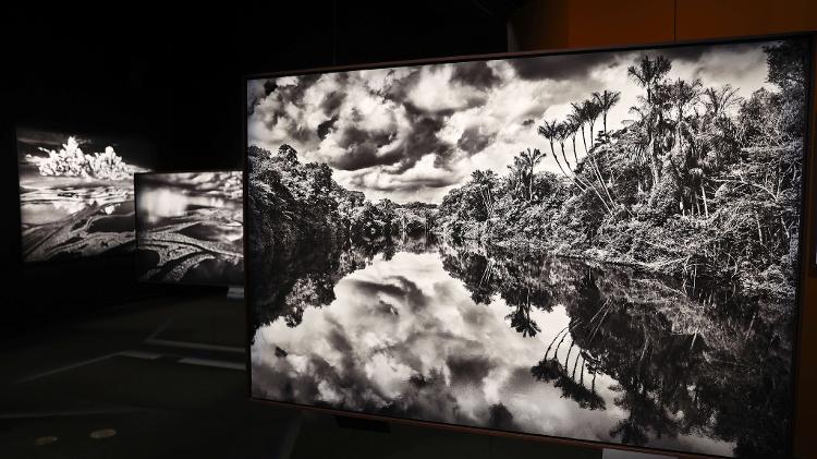Exposição 'Amazônia', no California Science Center Exposição 'Amazônia', no California Science Center