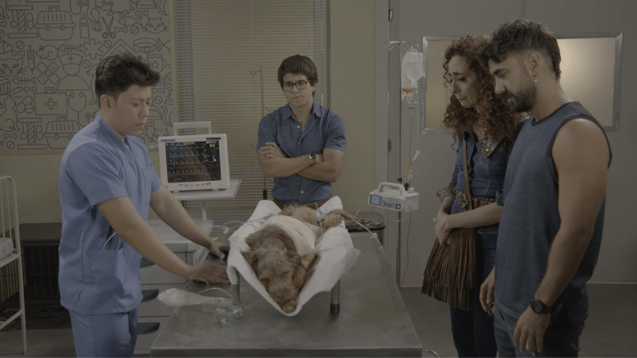 Maradona no hospital veterinário com Guto (Daniel Rangel), Sheila (Marianna Armellini) e Chicão (Gabriel Godoy) - Divulgação/Globo