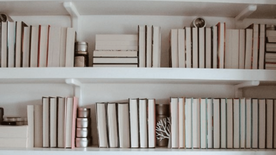 Biblioteca com títulos dos livros escondidos - Reprodução do Instagram