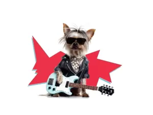 Moema recebe o ?Dogs of Rock", evento pet-friendly 