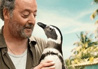 David Schurmann conta bastidor e desafios de filmar com mais de 10 pinguins - Divulgação/ Paris Filmes