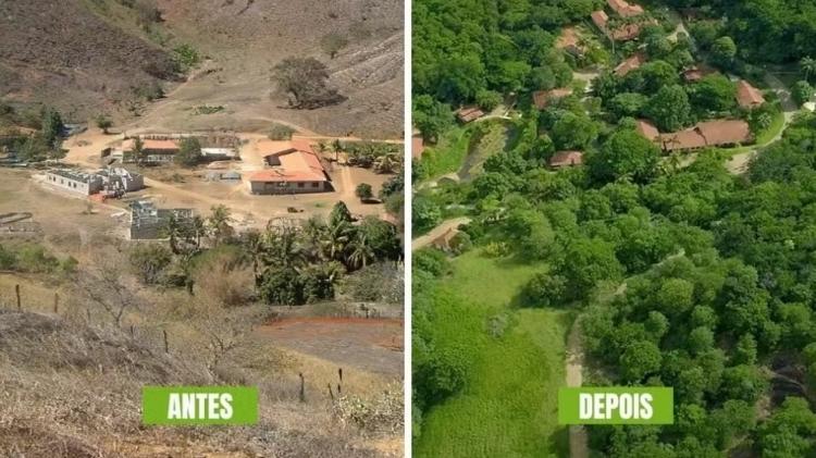 Fazenda do Bulcão antes e depois do processo de reflorestamento Fazenda do Bulcão antes e depois do processo de reflorestamento