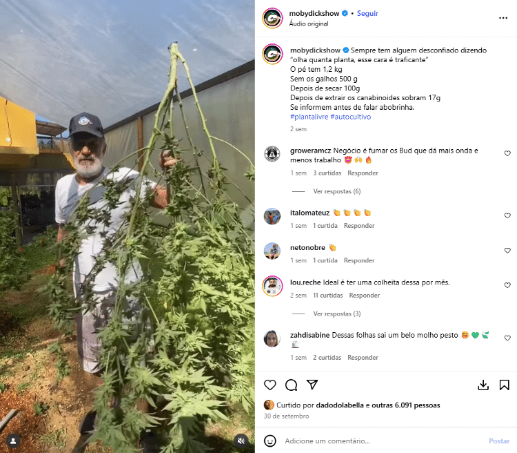 No Instagram, o ex-ator explica o processo de colheita e preparo da maconha No Instagram, o ex-ator explica o processo de colheita e preparo da maconha