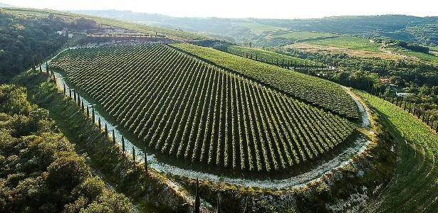 Ripasso ou Amarone? O segredo da Campagnola