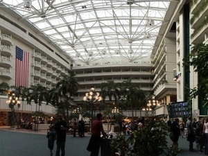 N - Reproduçâo - Reproduçâo